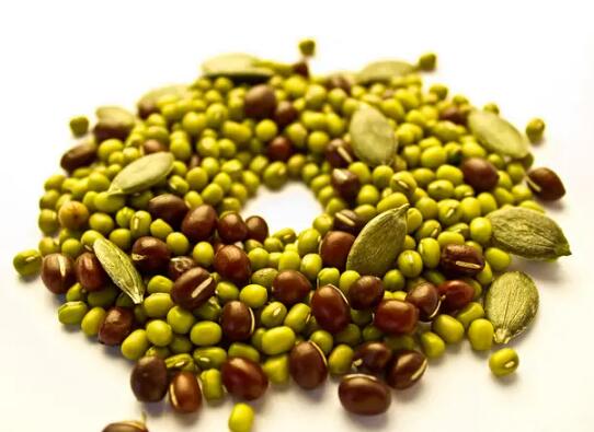 植物種子進口報關手續及流程程序(附口岸審核與查驗要求)