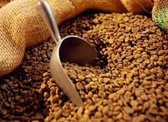 哥倫比亞咖啡豆進口報關清關代理服務【經典案例】